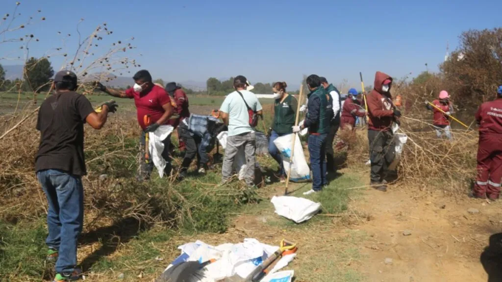 Edomex: Retiran 32 toneladas de basura durante jornada de limpieza del Lago de Xico
