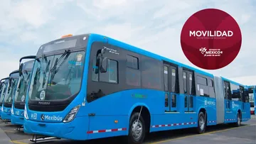 ¿Cómo viajar gratis en Mexibús? Estas personas pueden acreditarlo