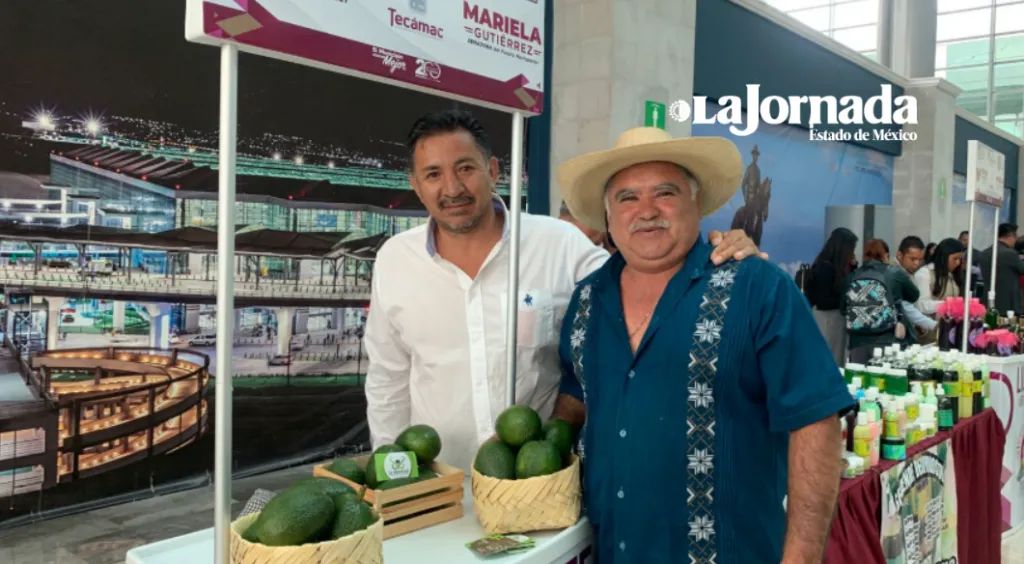 Aguacateros de Donato Guerra buscan justicia en el precio y mercados internacionales