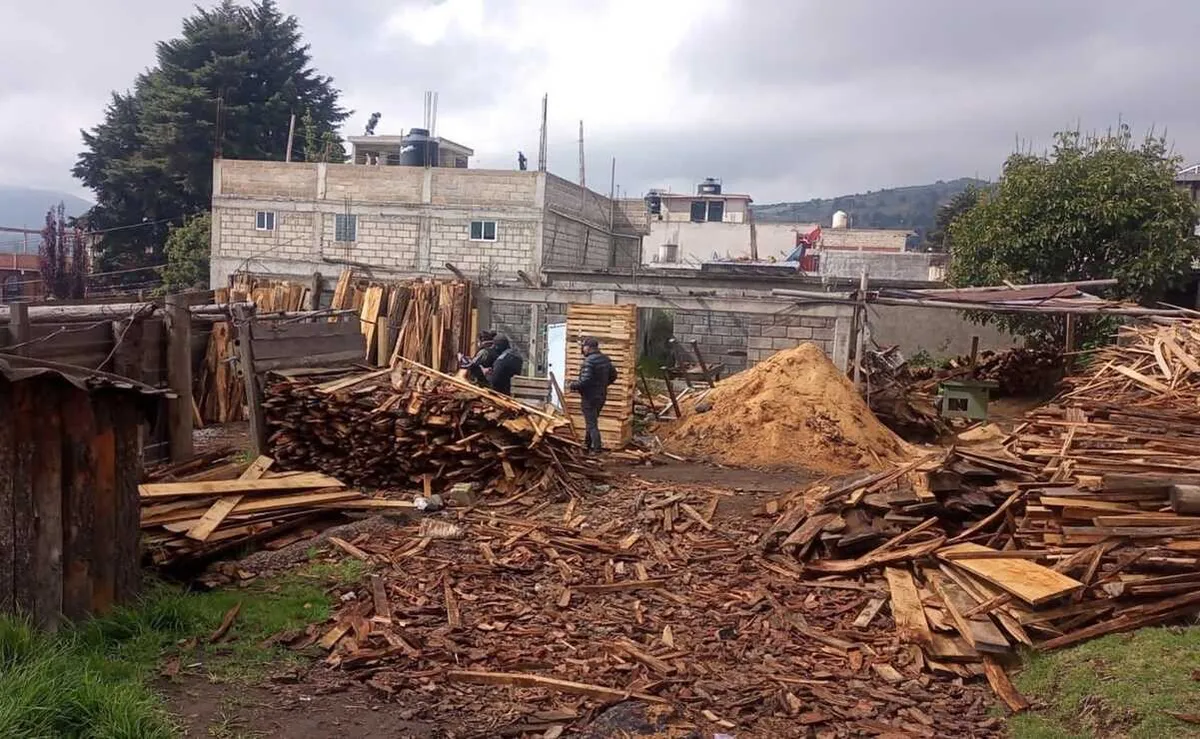Operan 15 aserraderos ilegales en Amecameca
