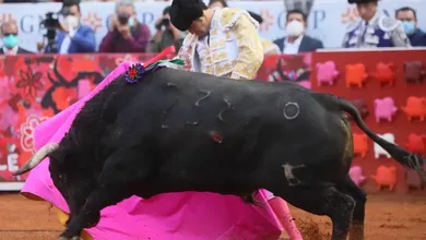 Dicha apelación impugna la decisión del juez federal que frenó hace más de un año la llamada Fiesta Brava en el recinto de la colonia Nápoles. Foto: La Jornada