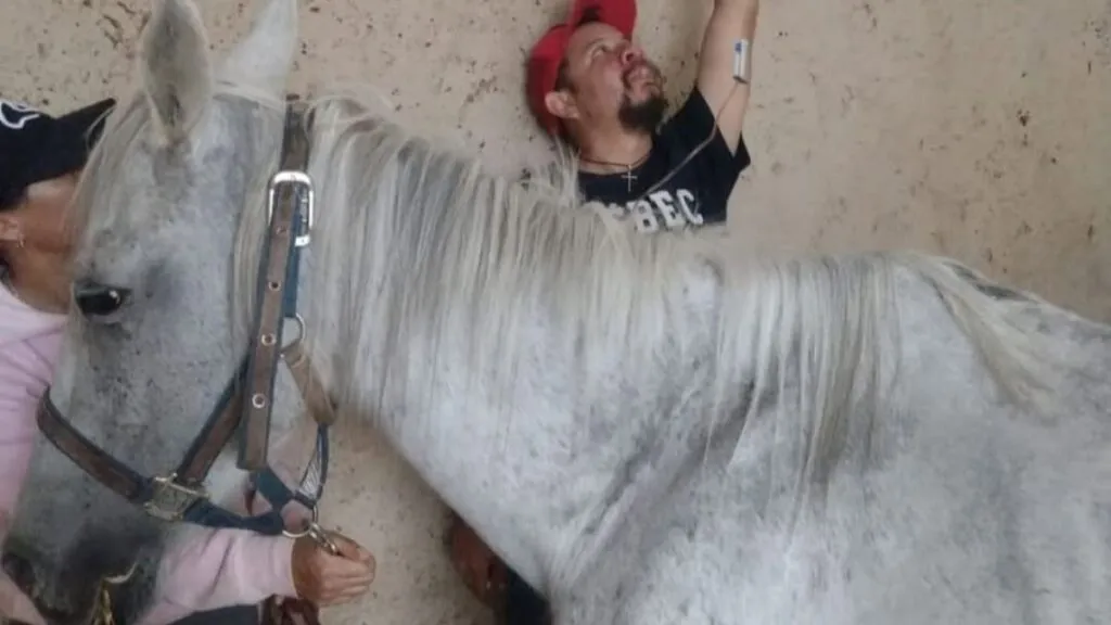 Protectoras piden apoyo para animales rescatados en Edomex