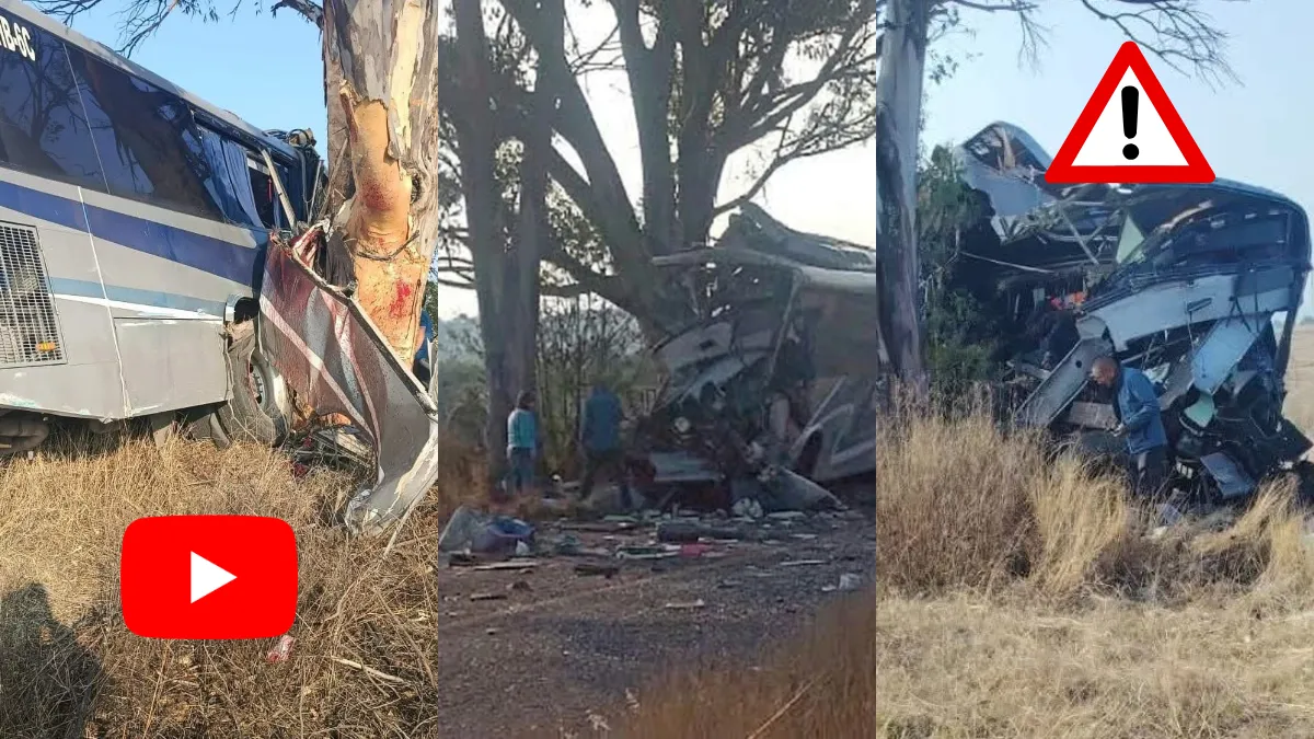 Autobús choca contra árbol en Amealco, Querétaro; reportan muertos y decenas de heridos tras fuerte accidente en la carretera 310.