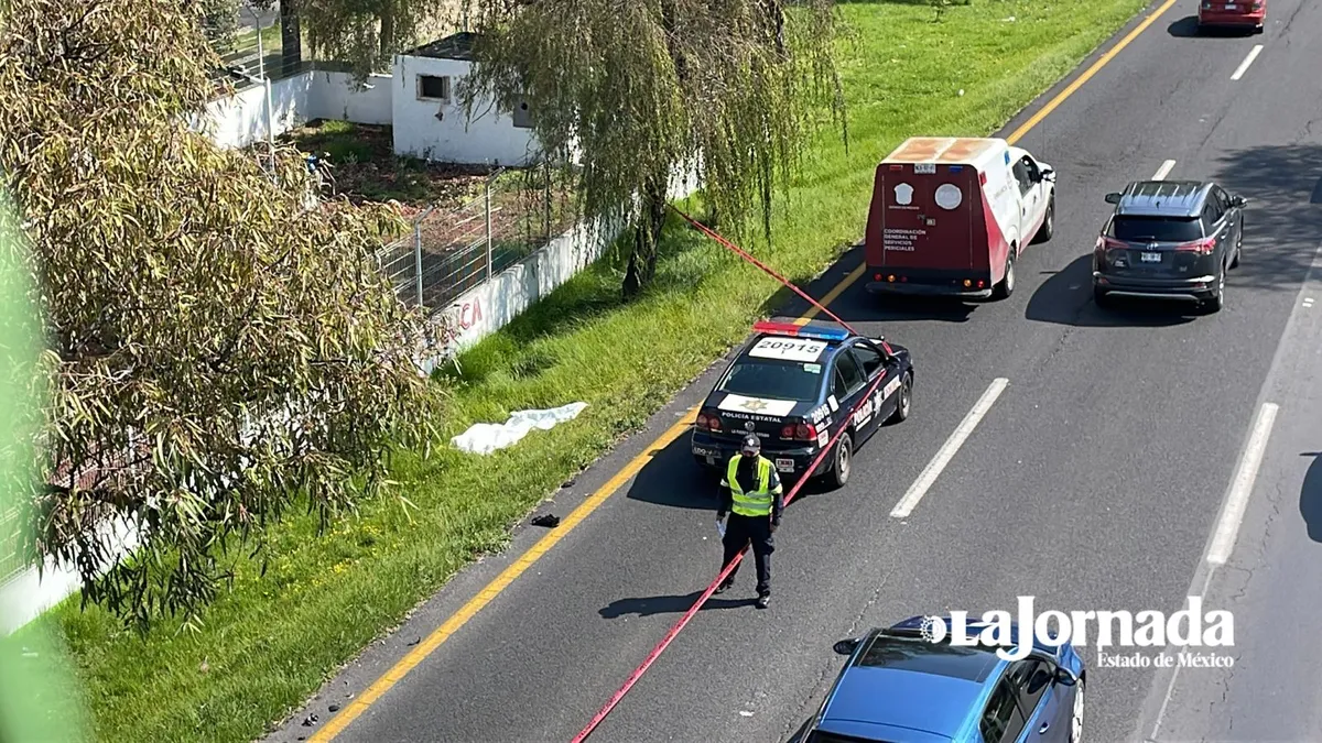 Video: Hombre muere atropellado en Paseo Tollocan en Toluca