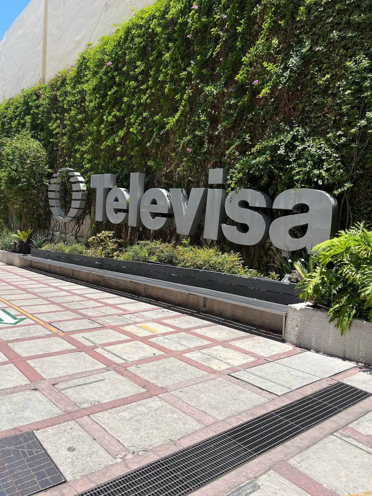 Televisa fortalece rentabilidad y logra ingresos récord en Vix