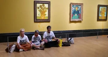 Activistas arrojan sopa a “Girasoles” de Vincent van Gogh en la Galería Nacional de Londres