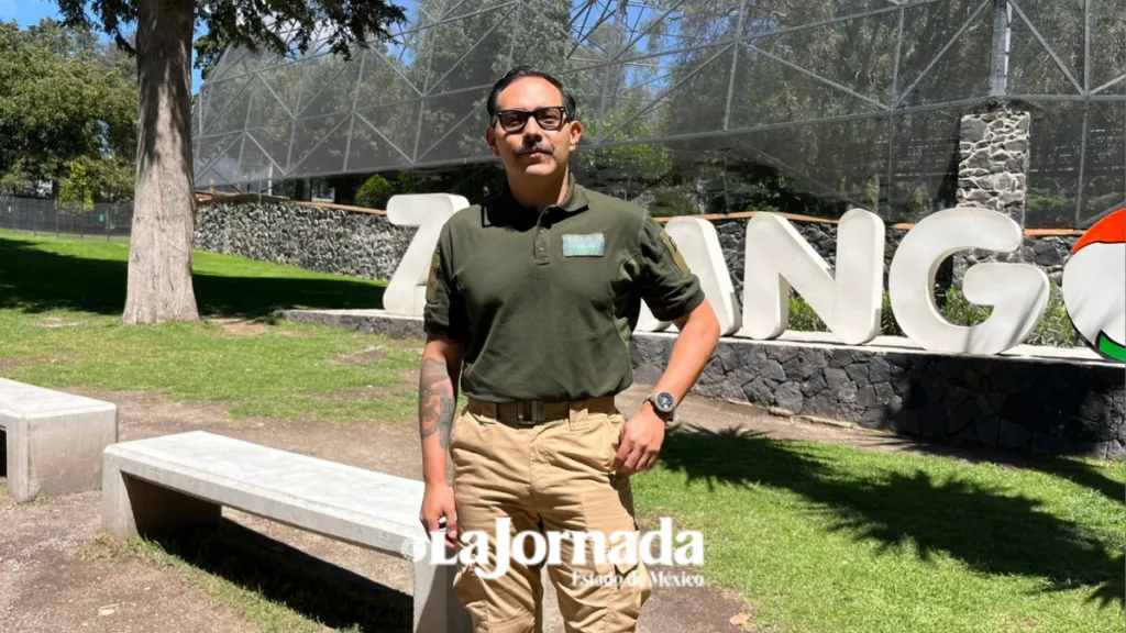 Nueva jirafa de Zacango “Cosmo” será para conservación genética