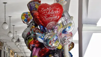 En esta temporada, se prevé la exportación de 13 mil toneladas de flores a Estados Unidos.