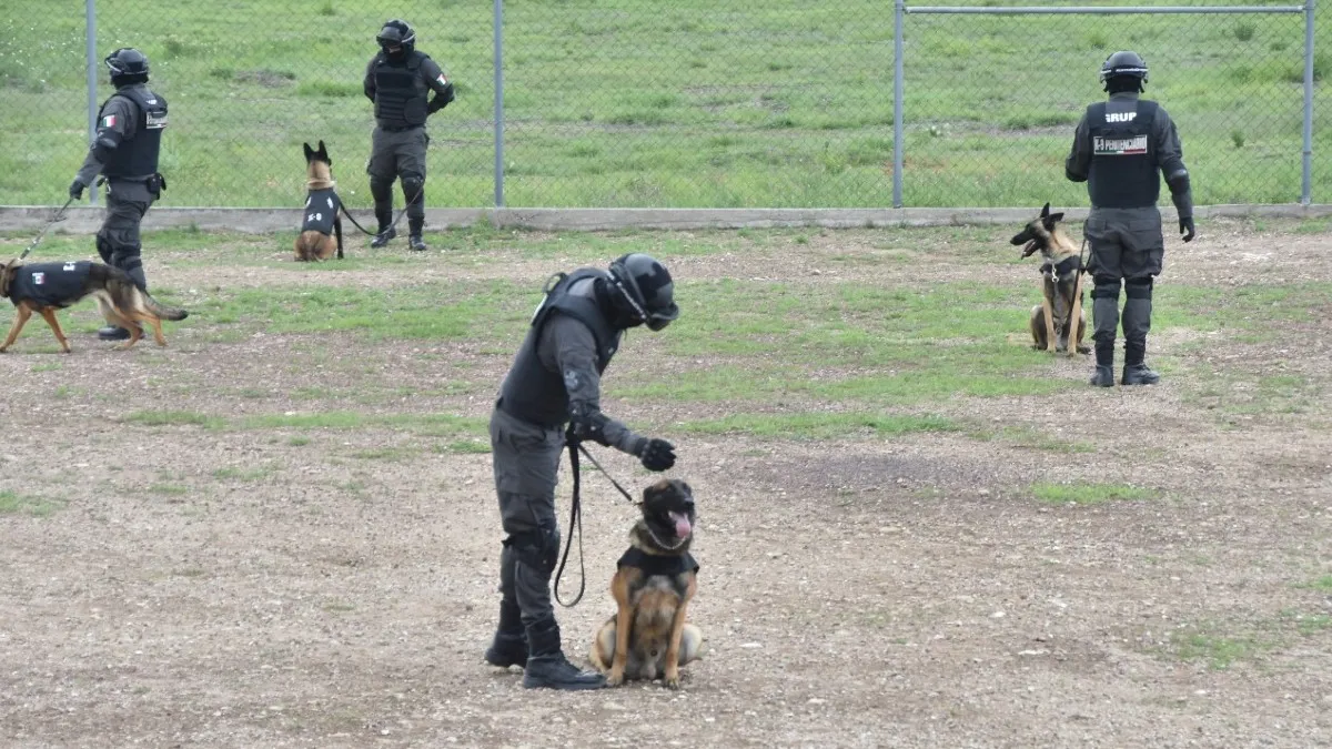 La unidad canina penitenciaria del Edomex es adiestrada en Otumba