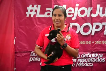 ¡Ganadores! 85 perritos conquistan un hogar con “La Mejor Jugada es Adoptar”