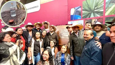 Mezcales del Edomex ganan medallas en el Concurso Mundial de Bruselas