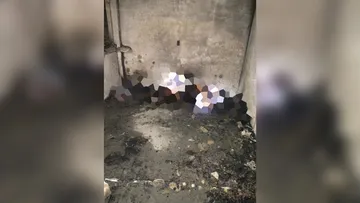 Localizan dos cuerpos calcinados en mercado abandonado de Ixtapaluca