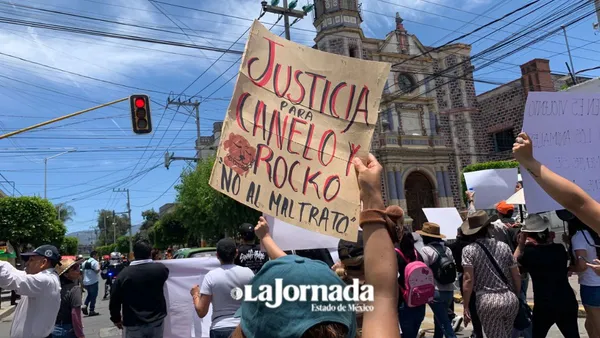 Responsables de la muerte de Canelo y Rocko enfrentarán proceso en libertad: FGJEM