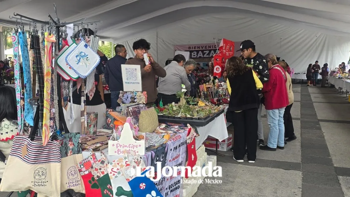 Toluca: Realizan bazar navideño a favor de niños en vulnerabilidad | La ...