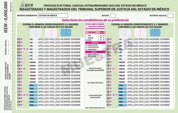 IEEM avala acuerdos para garantizar documentación y material para elección judicial