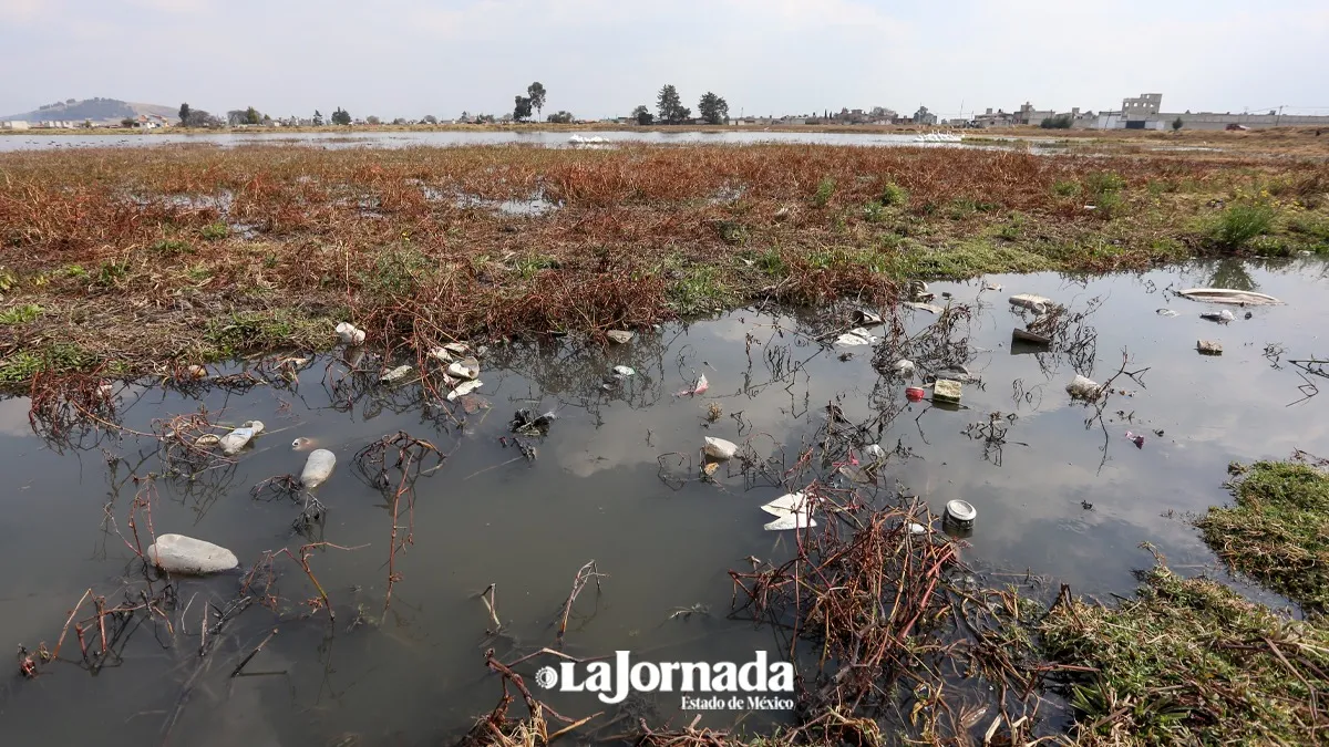Toluca: Daño a Bordo de San Jerónimo sobrepasa al Ayuntamiento, requiere intervención del GEM