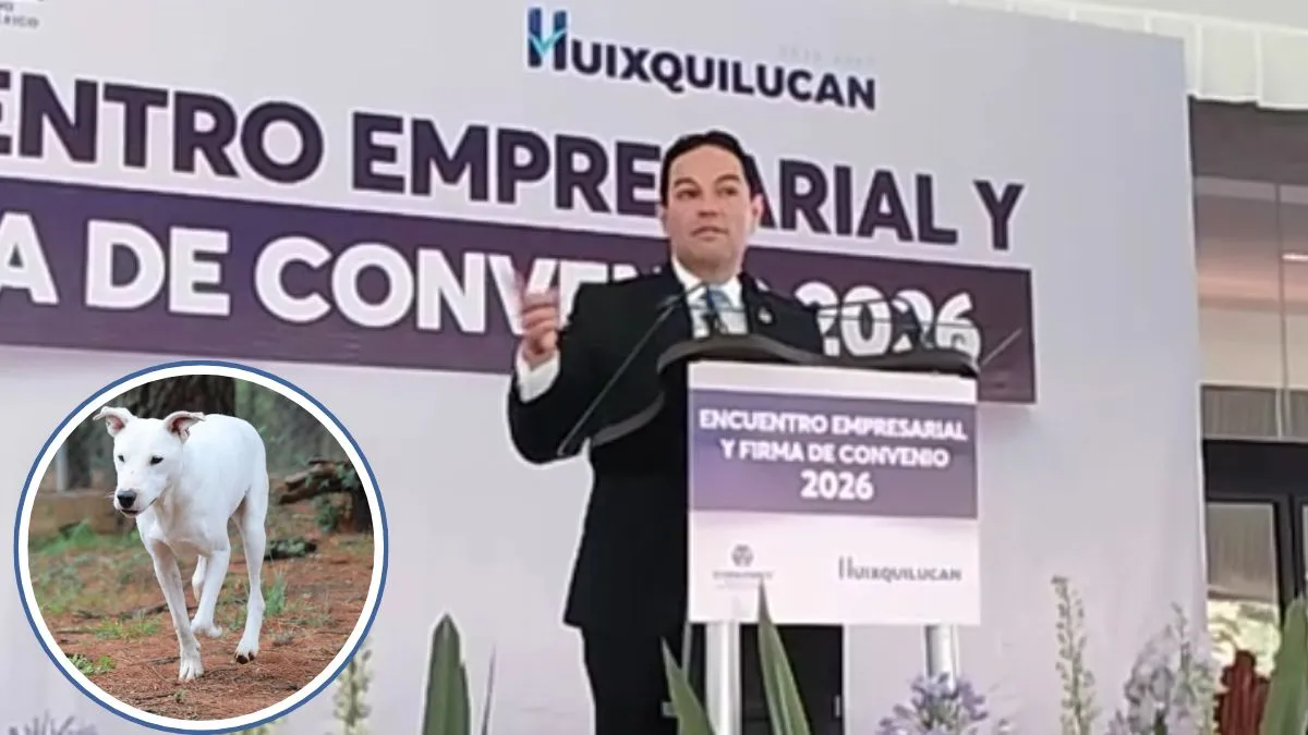 Senador pide replicar modelo Huixquican para evitar más casos como el de la matanza de perros en Tecámac