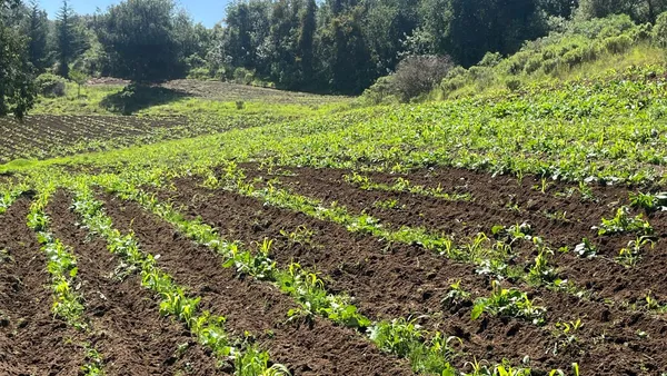 SeCampo trabaja en proyecto para la reducción de agroquímicos en Edomex