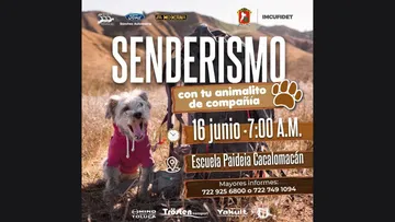 En Toluca ya puedes hacer senderismo con tus mascotas