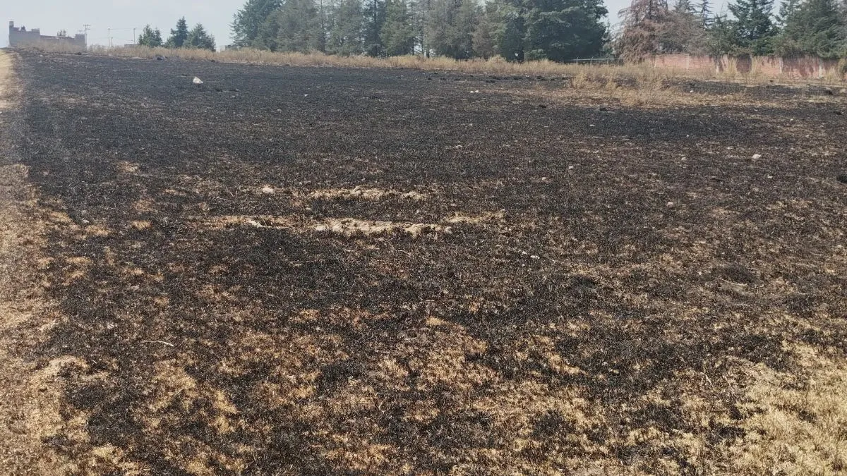 Toluca presenta 12 incendios de pastizales diarios: PC