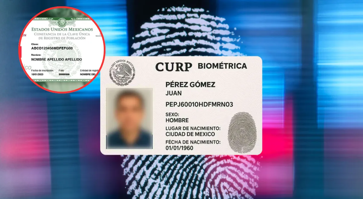¿No tienes la nueva CURP? Estos son los riesgos de no tramitarla a tiempo