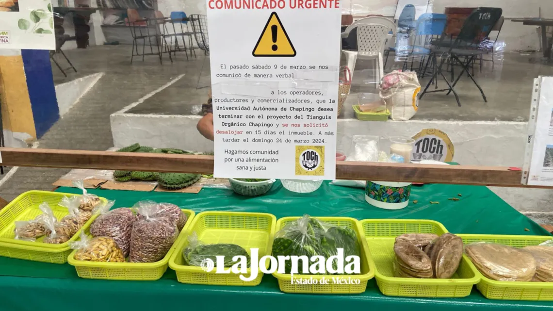 Anuncian desaparición de tianguis orgánico en Chapingo