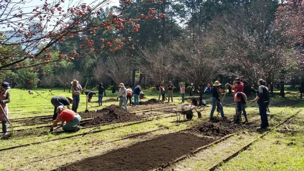 Huertos de temporal potencian la producción agrícola en Edomex