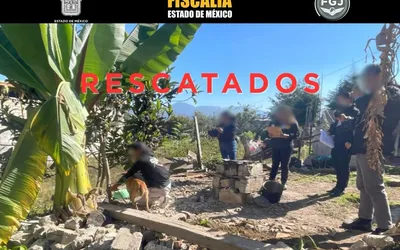 De acuerdo con la valoración de personal veterinario, los perros presentaban signos de desnutrición y maltrato.