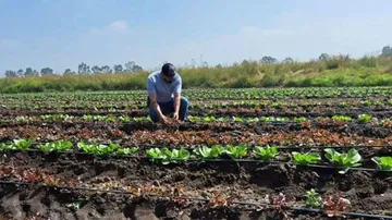Lluvias atípicas afectan cultivos de autoconsumo en el Edomex