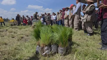CEPANAF cierra campaña de reforestación con 100 mil árboles en 13 parques de Edomex