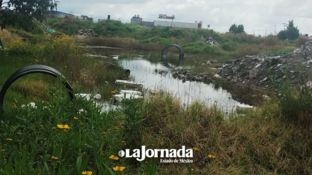 Vecinos de Totoltepec viven con el “agua a las rodillas”