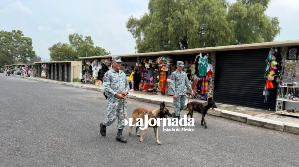 Guardia Nacional blinda Teotihuacán con drones, patrullas y 130 elementos