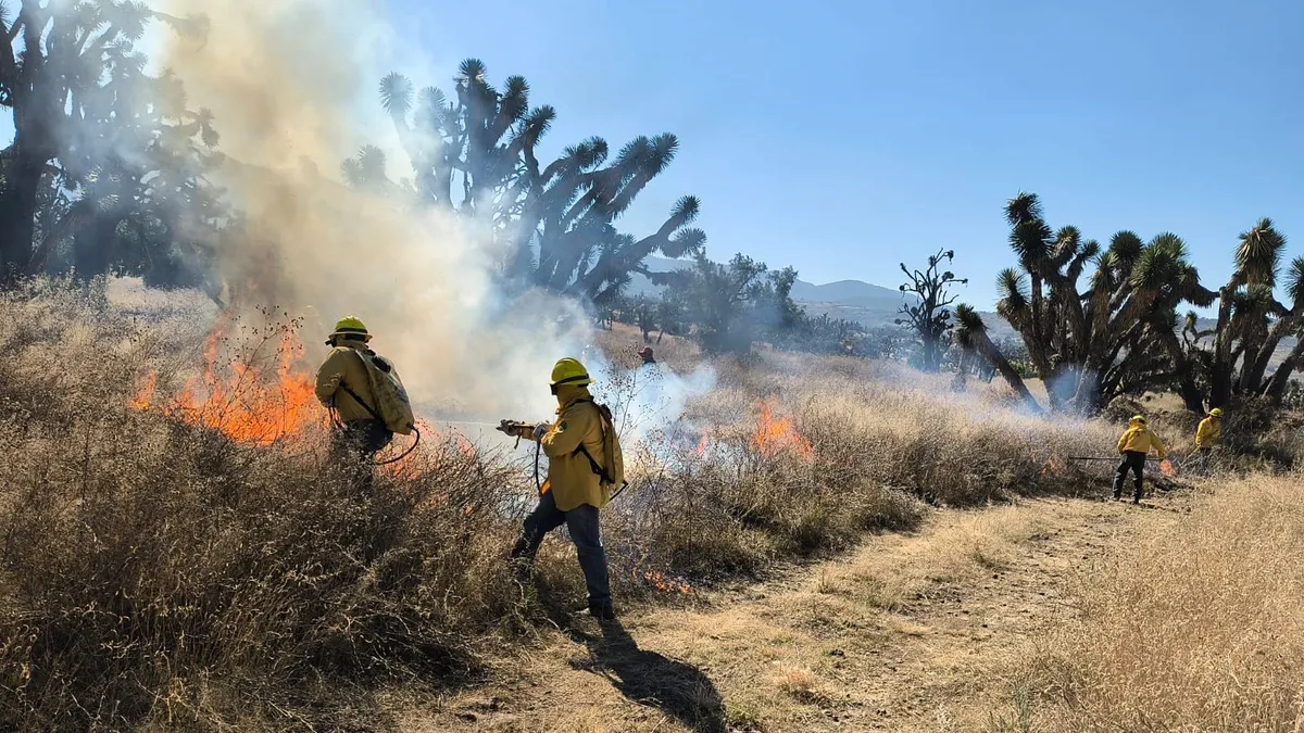 Más del 50% de incendios forestales son por quemas agropecuarias: Probosque