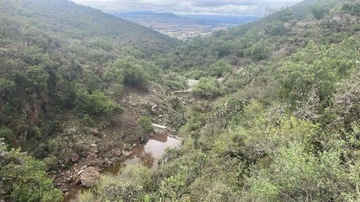 GEM invierte 80 mdp para rehabilitar presas de gavión en la Sierra de Guadalupe