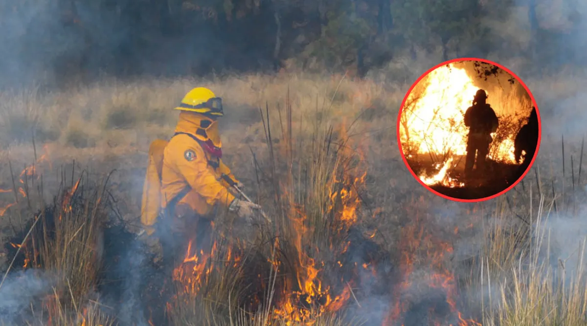 Alerta en Toluca: Incendios de pastizales aumentan 20% durante la temporada de estiaje