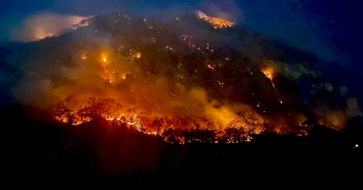 AMLO confirma cuatro muertos por incendios forestales en Edomex