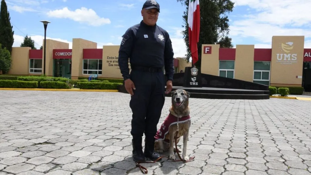 Caninos de la SSEM cumplen su servicio y son trasladados a Almoloya de Juárez para su jubilación