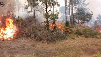 Esto se debe a que ayer por la noche las condiciones meteorológicas no fueron favorables y por ello los brigadistas tuvieron que suspender los trabajos de combate al fuego, principalmente en Valle de Bravo. Foto: Especial
