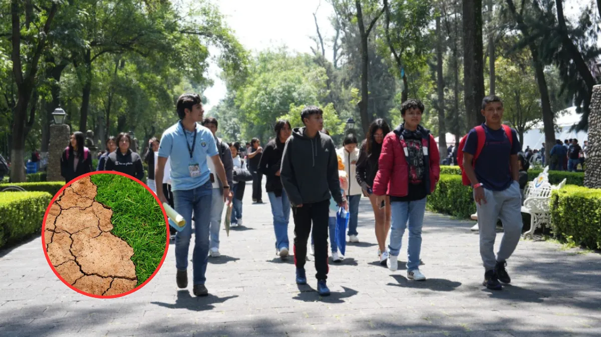 Chapingo crea la carrera de Ingeniería en Agricultura Regenerativa