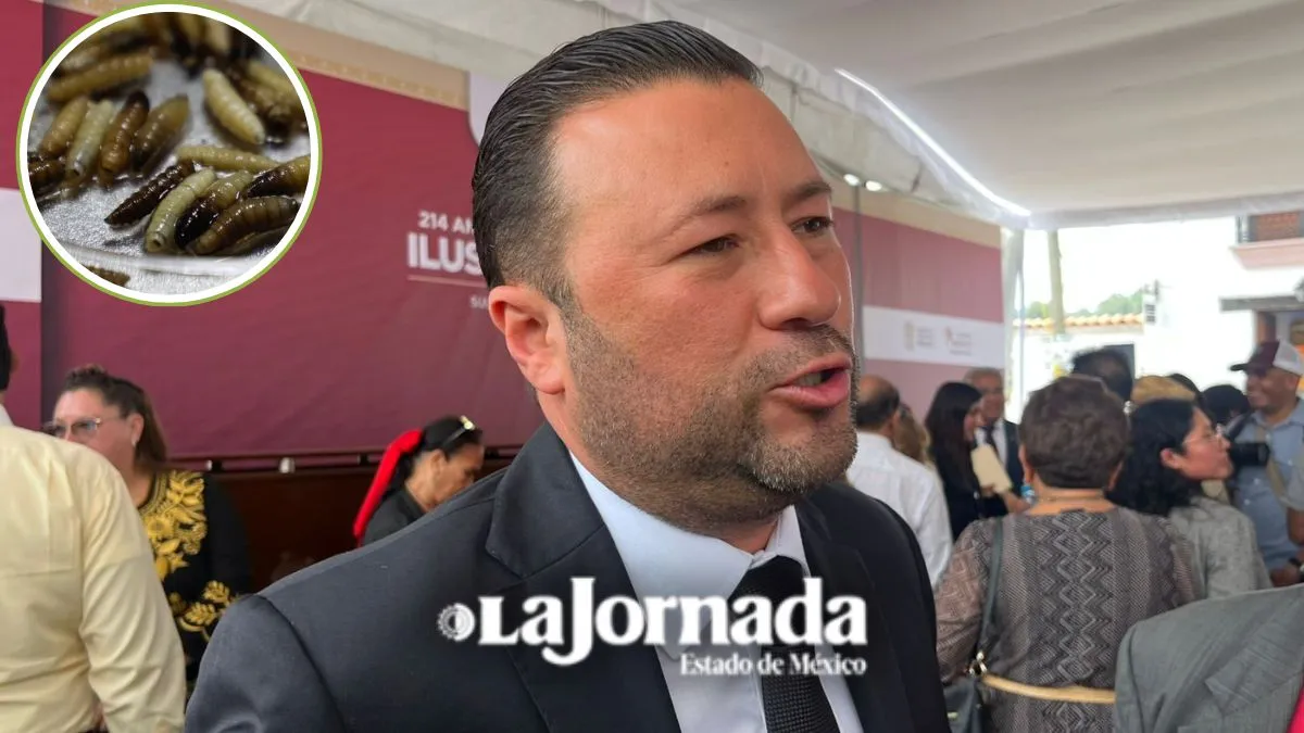 Autoridades preparan machos estériles para combatir al gusano barrenador en el sur del Edomex