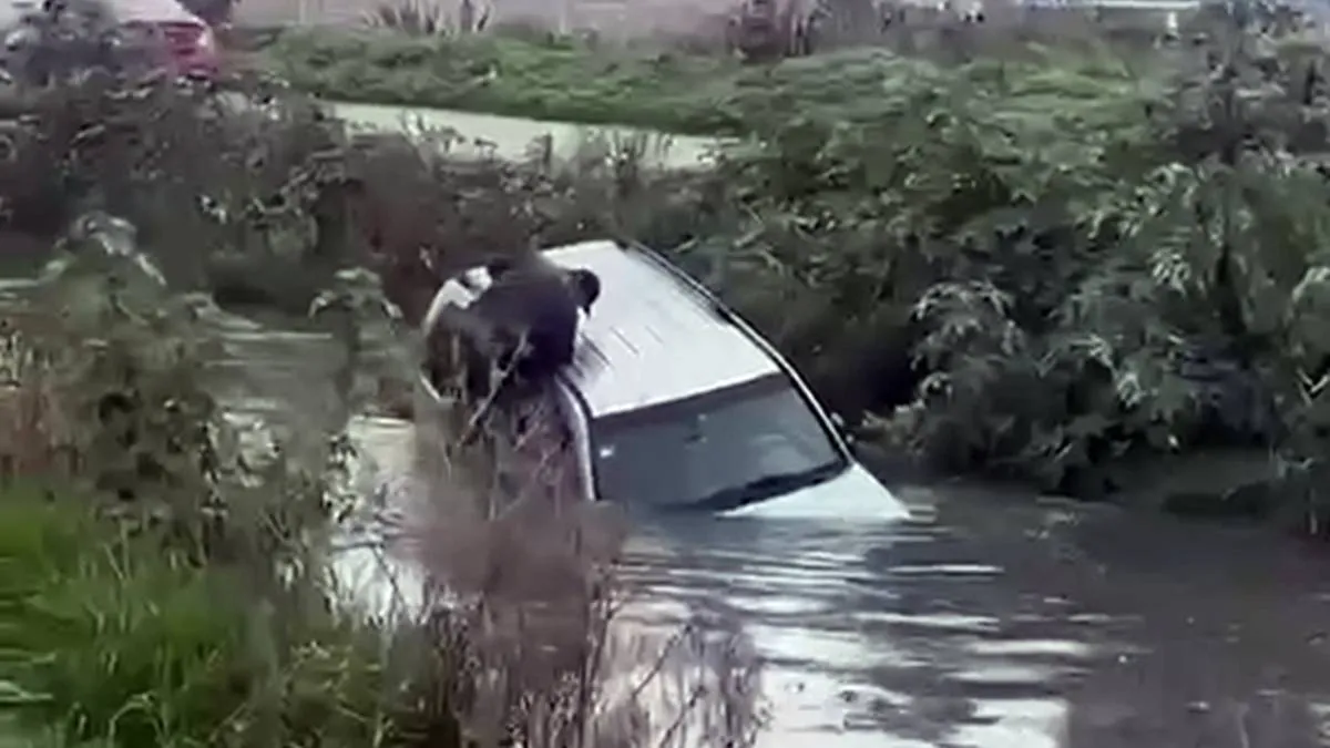 Hombre cae con su camioneta a un arroyo y logra salir en Zumpango (Video)