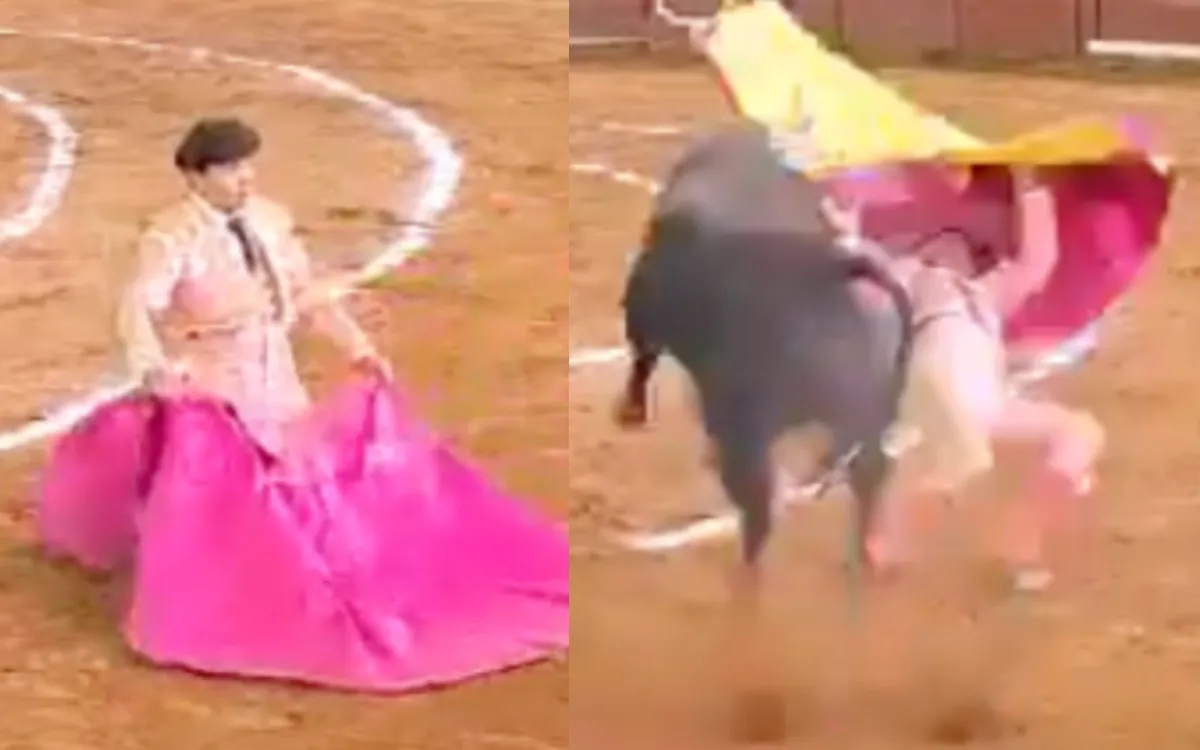 Tlaxcala: Torero en terapia intensiva tras cornada y cirugía
