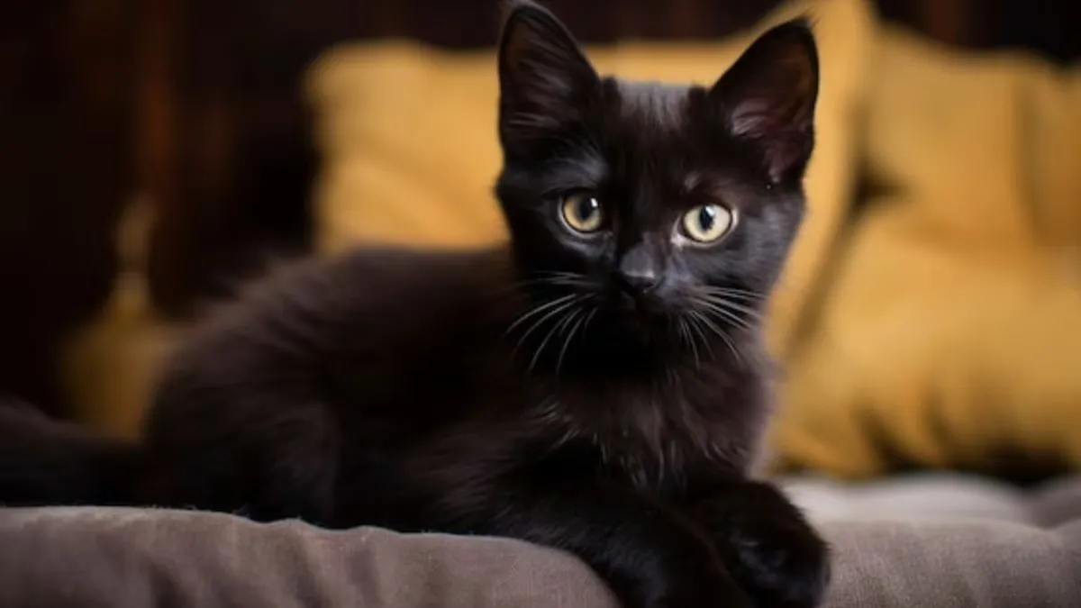 Se han detectado casos de crueldad animal en la zona de El Calvario, así como en parques y jardines del municipio.