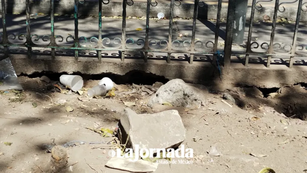 Basura inunda Mercado Juárez en Toluca