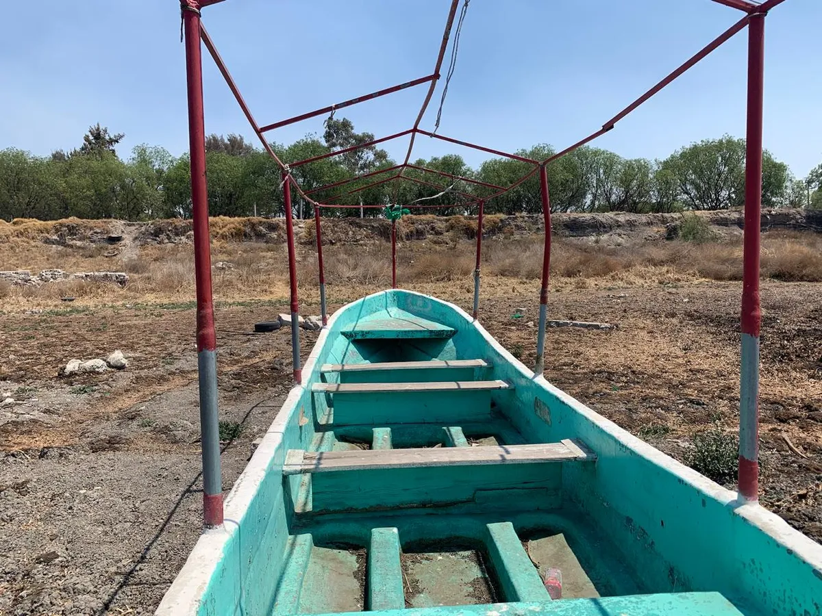 Diputados piden informe sobre impacto del AIFA en la Laguna de Zumpango