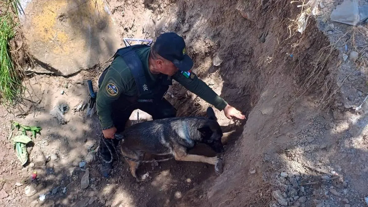 Neza realiza búsqueda de personas en el Bordo de Xochiaca