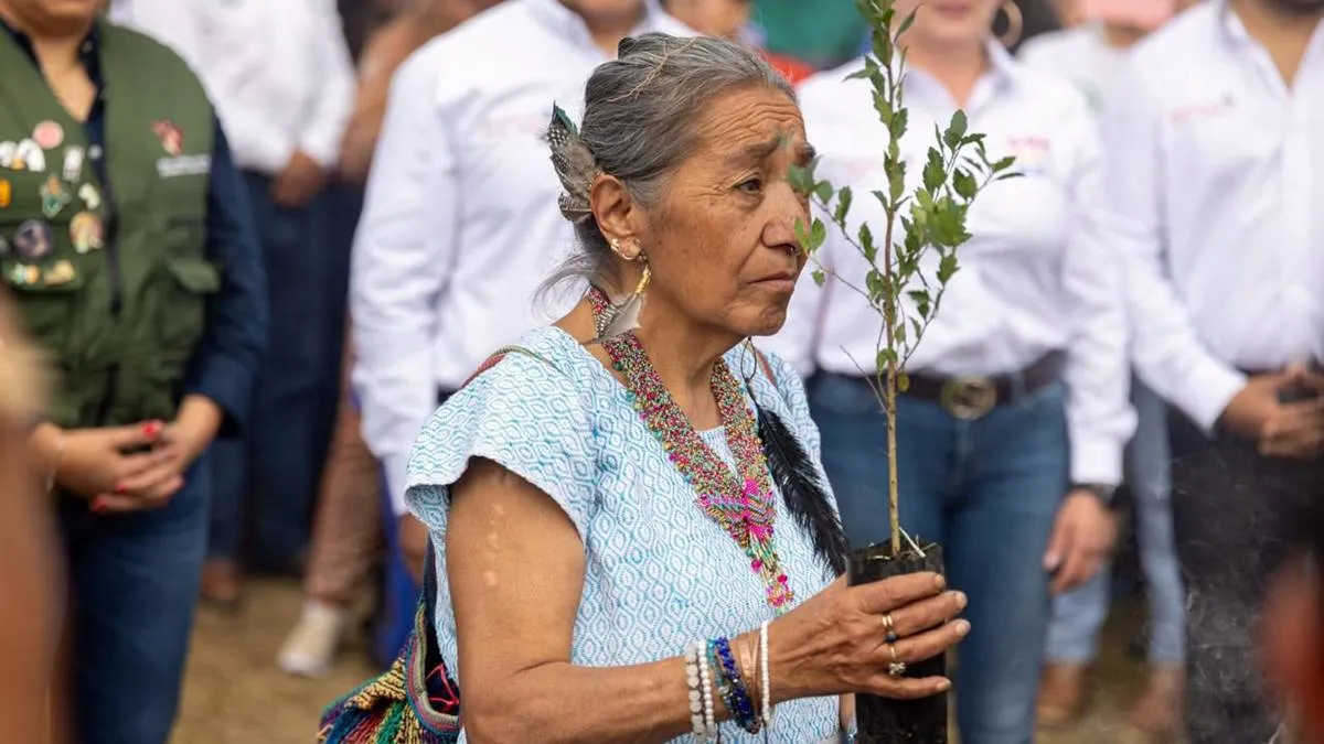Plantan más de 2 mil árboles para restaurar la Sierra de Guadalupe