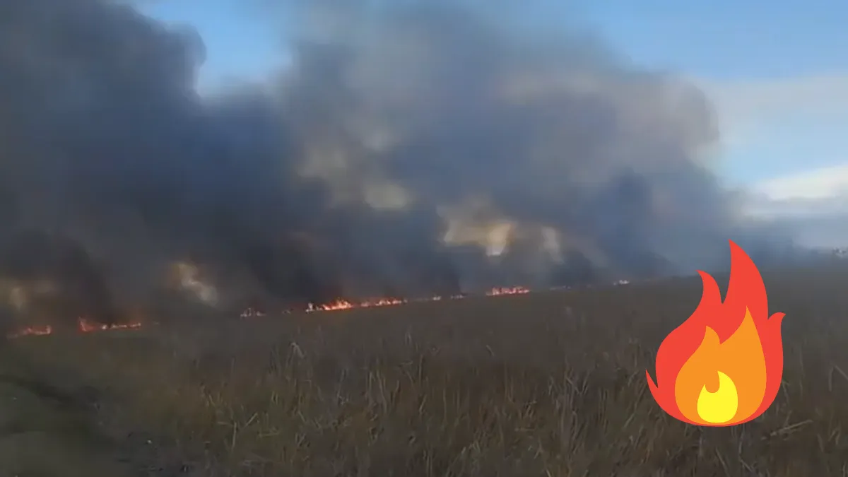 Quema de pastizal en la Lerma- Tenango [VIDEO]