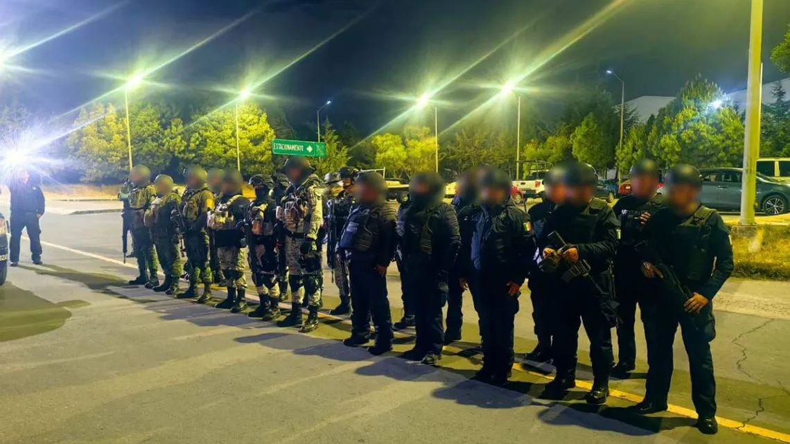 Ocuilan: Realizan operativo por tala clandestina