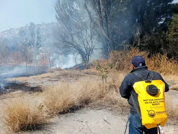 El número de incendios forestales bajó 28 por ciento, al pasar de 790 siniestros en 2024 a 564 en 2025.